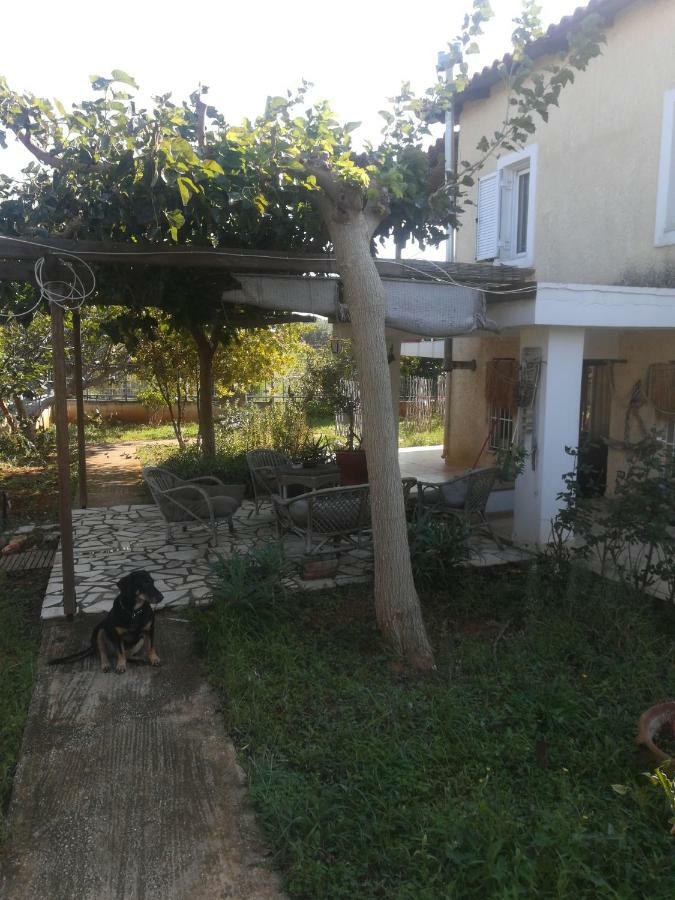 Country Rooms Near Athens - Airport 韦瑞洛纳 外观 照片